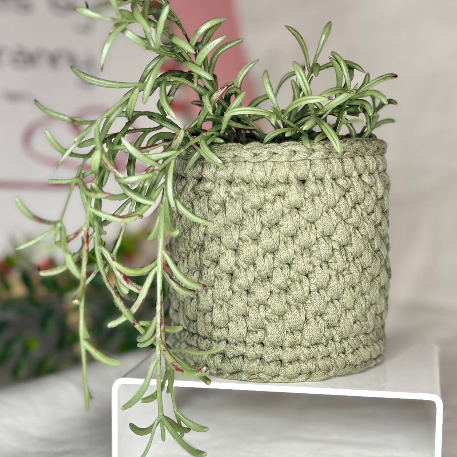 Handmade sage green crochet plant pot cover with a trailing houseplant, made from recycled cotton yarn for stylish indoor plant display.