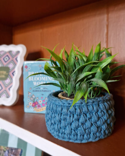 Blue handmade crochet basket used as a small plant pot holder