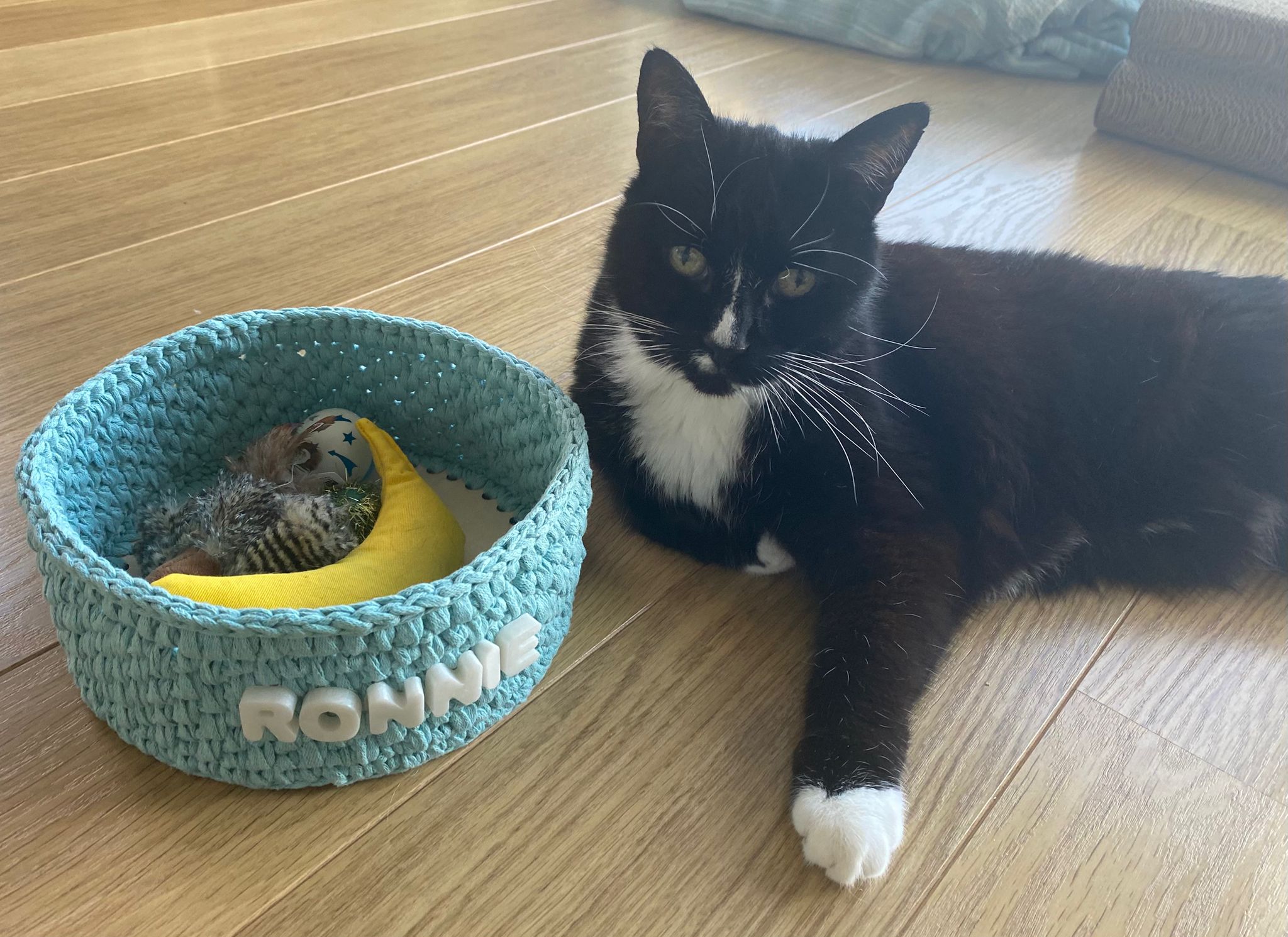 A black and white cat lies on a wooden floor next to a light blue crocheted pet bed with a yellow banana-shaped cushion. The bed is personalized with the name 'RONNIE' in white letters.